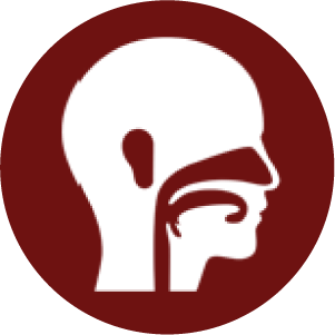 1744781615_Icon 11.png